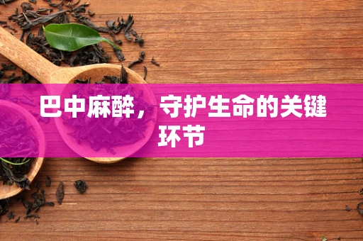 巴中麻醉，守护生命的关键环节