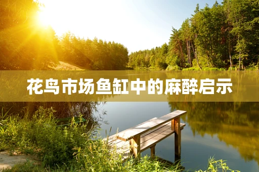 花鸟市场鱼缸中的麻醉启示