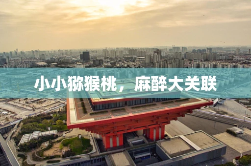 小小猕猴桃，麻醉大关联