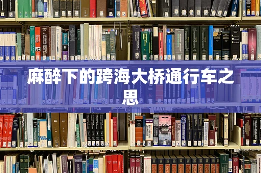 麻醉下的跨海大桥通行车之思