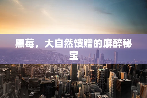 黑莓，大自然馈赠的麻醉秘宝