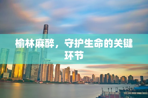 榆林麻醉，守护生命的关键环节