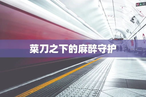 菜刀之下的麻醉守护