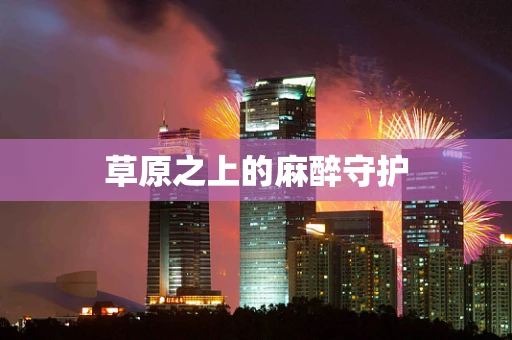 草原之上的麻醉守护