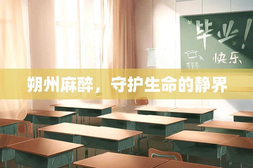朔州麻醉，守护生命的静界