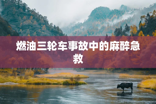 燃油三轮车事故中的麻醉急救