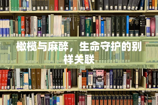 橄榄与麻醉，生命守护的别样关联