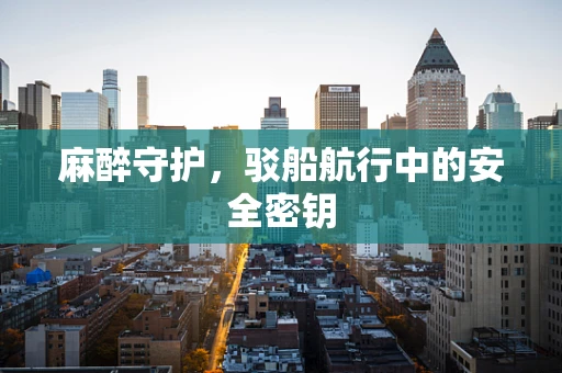 麻醉守护，驳船航行中的安全密钥