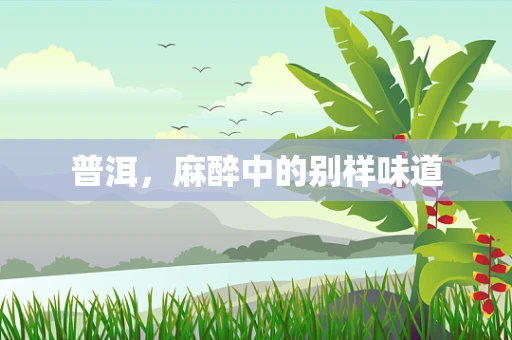 普洱，麻醉中的别样味道