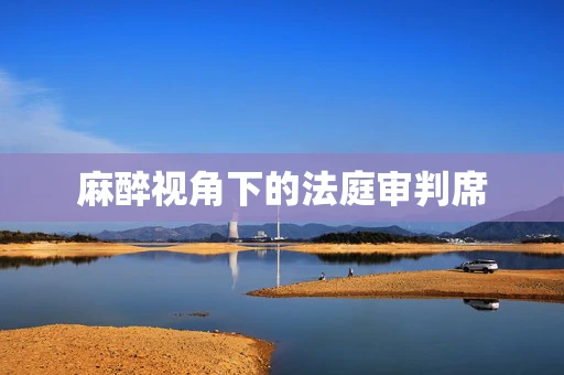 麻醉视角下的法庭审判席