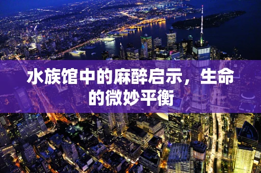 水族馆中的麻醉启示，生命的微妙平衡