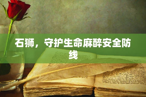 石狮，守护生命麻醉安全防线