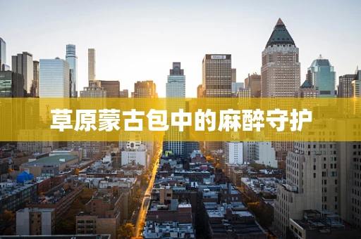 草原蒙古包中的麻醉守护