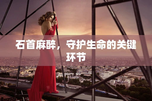 石首麻醉，守护生命的关键环节