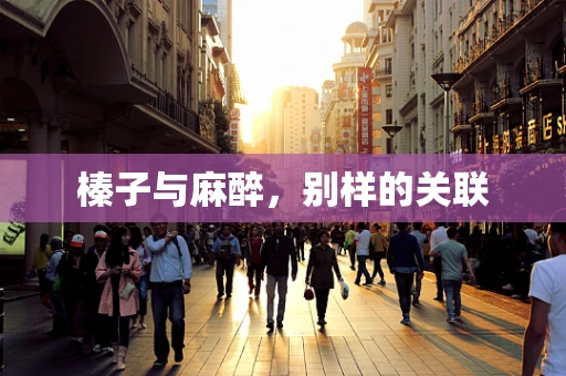 榛子与麻醉，别样的关联