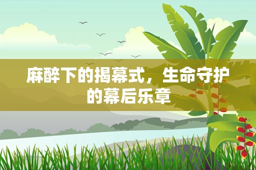 麻醉下的揭幕式，生命守护的幕后乐章