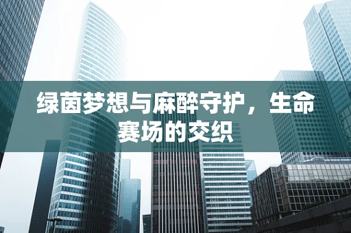 绿茵梦想与麻醉守护，生命赛场的交织