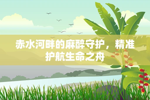 赤水河畔的麻醉守护，精准护航生命之舟