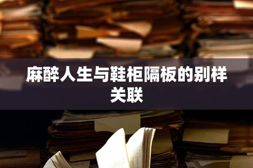 麻醉人生与鞋柜隔板的别样关联