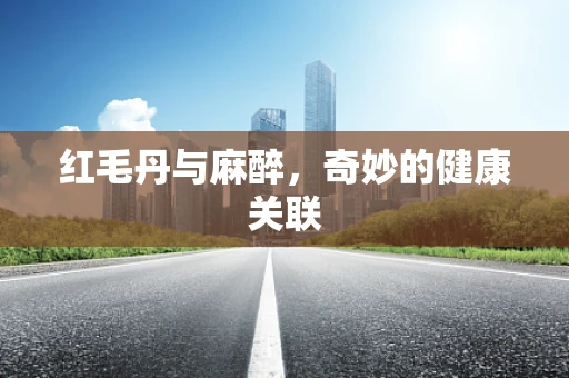 红毛丹与麻醉，奇妙的健康关联