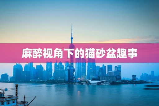 麻醉视角下的猫砂盆趣事