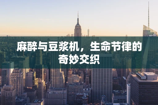麻醉与豆浆机，生命节律的奇妙交织
