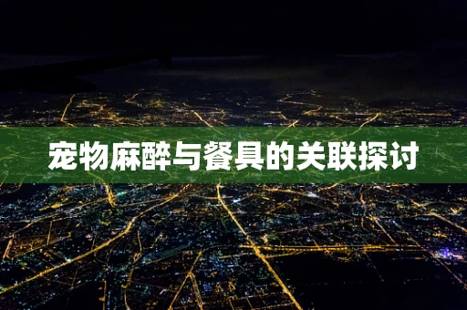 宠物麻醉与餐具的关联探讨