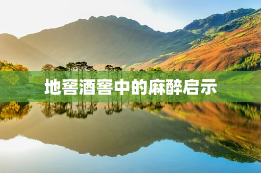 地窖酒窖中的麻醉启示