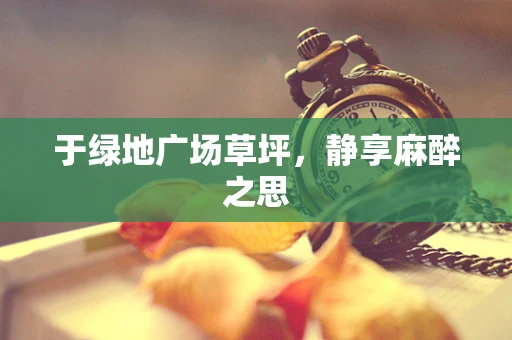 于绿地广场草坪，静享麻醉之思