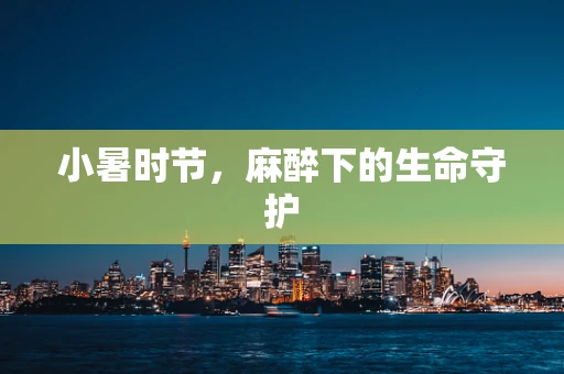 小暑时节，麻醉下的生命守护