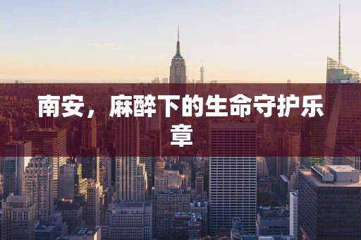 南安，麻醉下的生命守护乐章