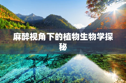 麻醉视角下的植物生物学探秘