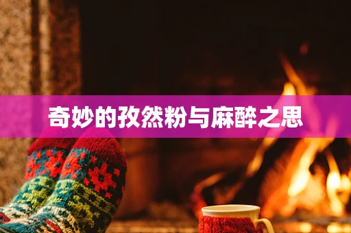 奇妙的孜然粉与麻醉之思