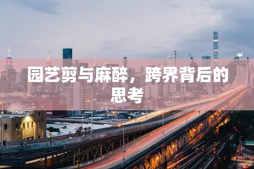 园艺剪与麻醉，跨界背后的思考