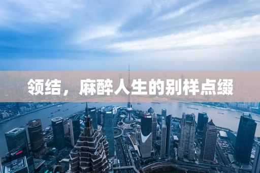 领结，麻醉人生的别样点缀