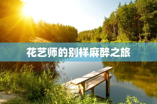 花艺师的别样麻醉之旅