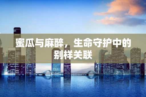 蜜瓜与麻醉，生命守护中的别样关联