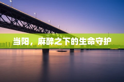 当阳，麻醉之下的生命守护