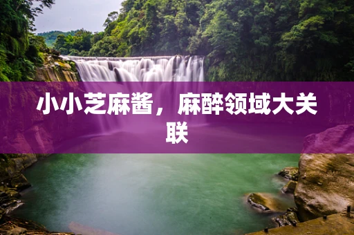 小小芝麻酱，麻醉领域大关联