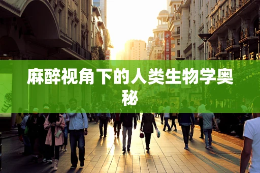 麻醉视角下的人类生物学奥秘
