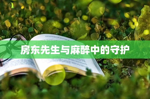 房东先生与麻醉中的守护