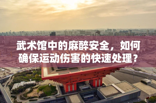 武术馆中的麻醉安全，如何确保运动伤害的快速处理？