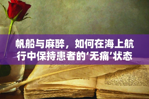 帆船与麻醉，如何在海上航行中保持患者的‘无痛’状态？