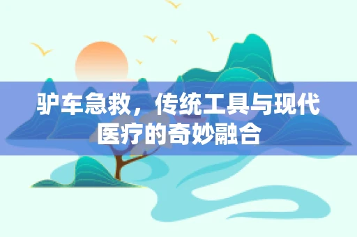 驴车急救，传统工具与现代医疗的奇妙融合
