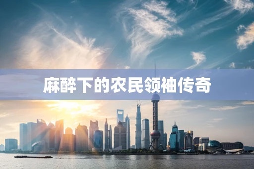 麻醉下的农民领袖传奇