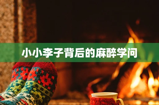 小小李子背后的麻醉学问