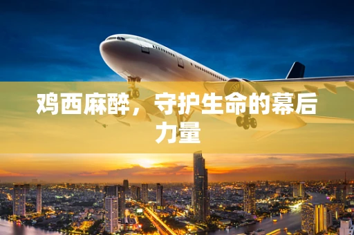 鸡西麻醉，守护生命的幕后力量