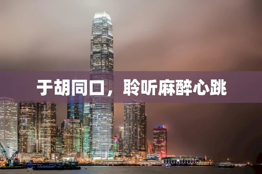 于胡同口，聆听麻醉心跳