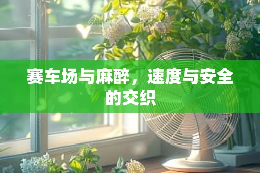 赛车场与麻醉，速度与安全的交织