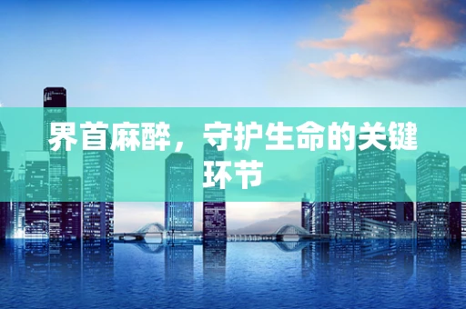 界首麻醉，守护生命的关键环节